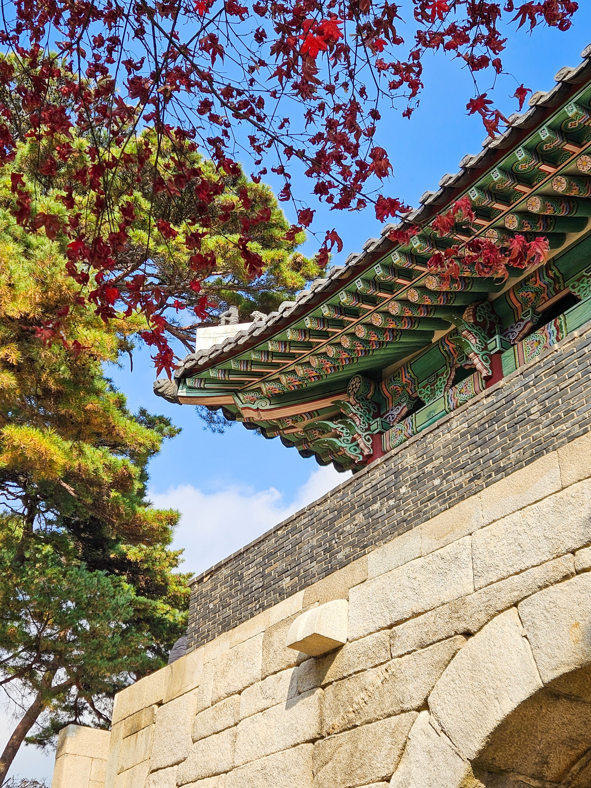 autumn korean traditional gate and red leaves